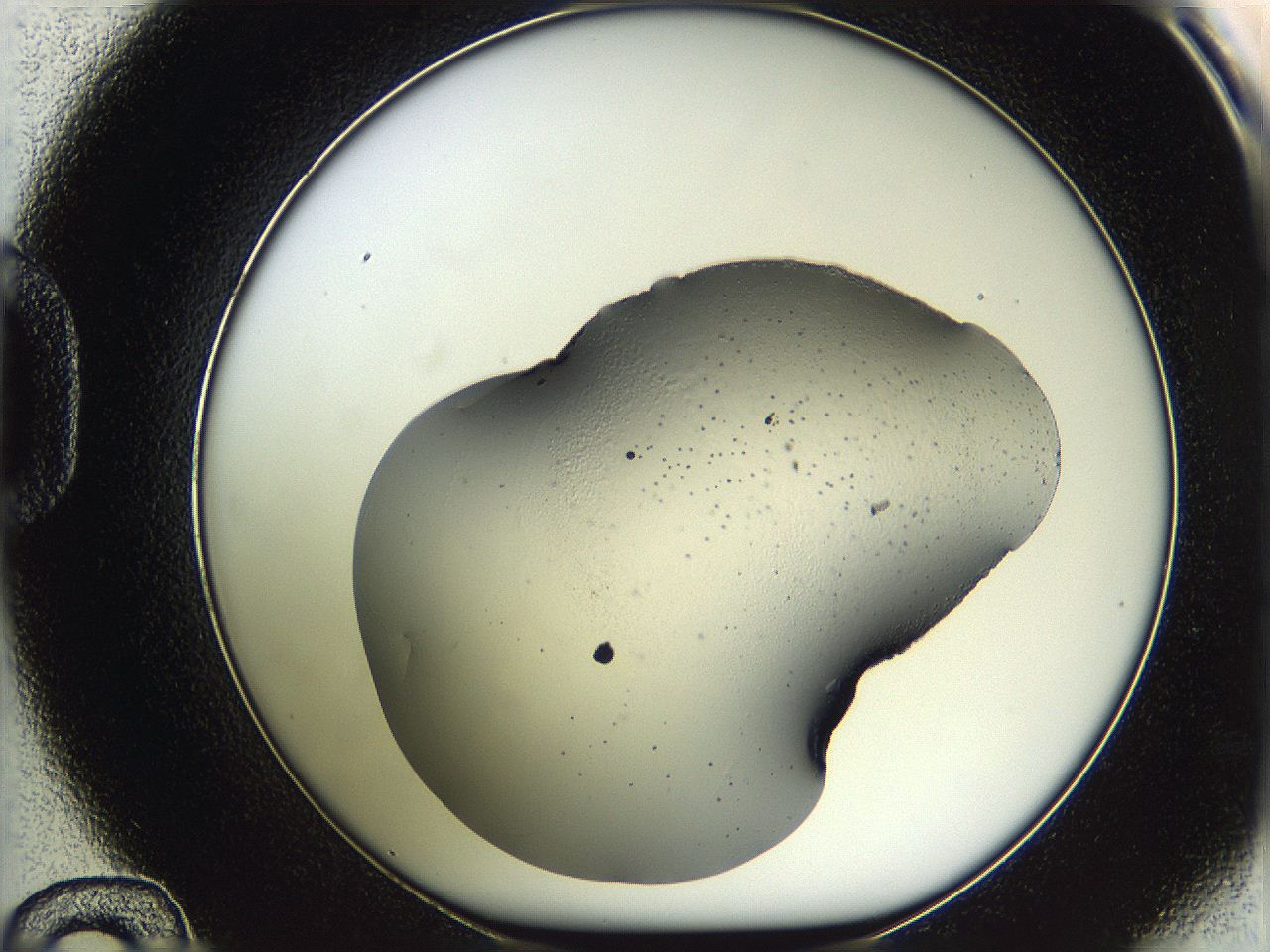 05wf_D12_ImagerDefaults_3.jpg
