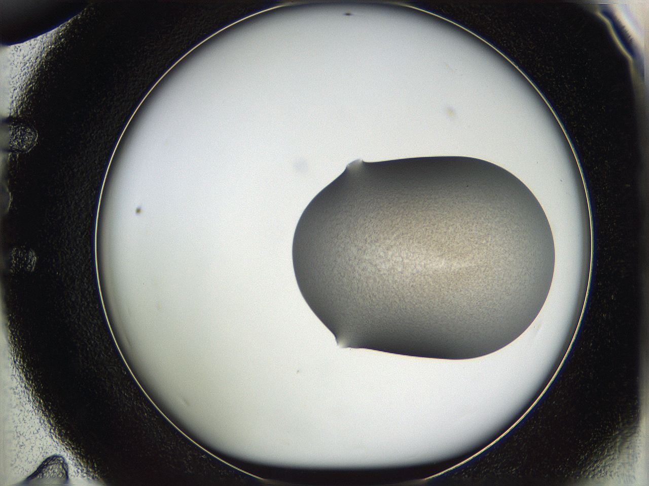 05wf_E11_ImagerDefaults_3.jpg