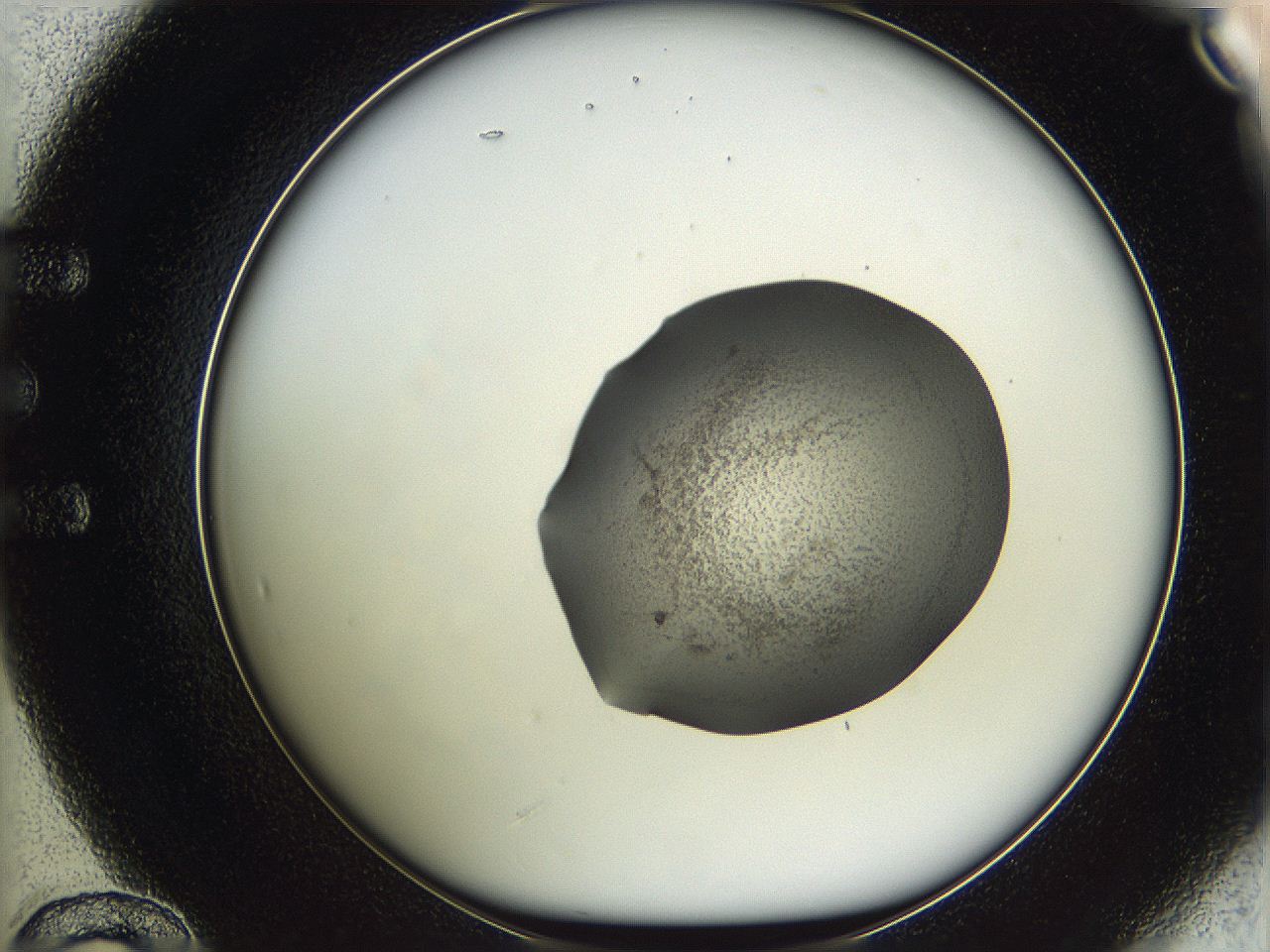 05wf_E12_ImagerDefaults_3.jpg