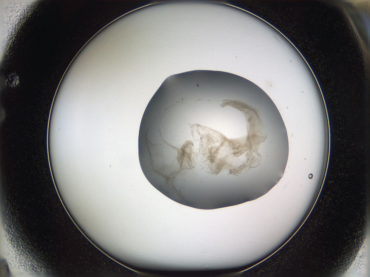 05wf_F4_ImagerDefaults_3.jpg