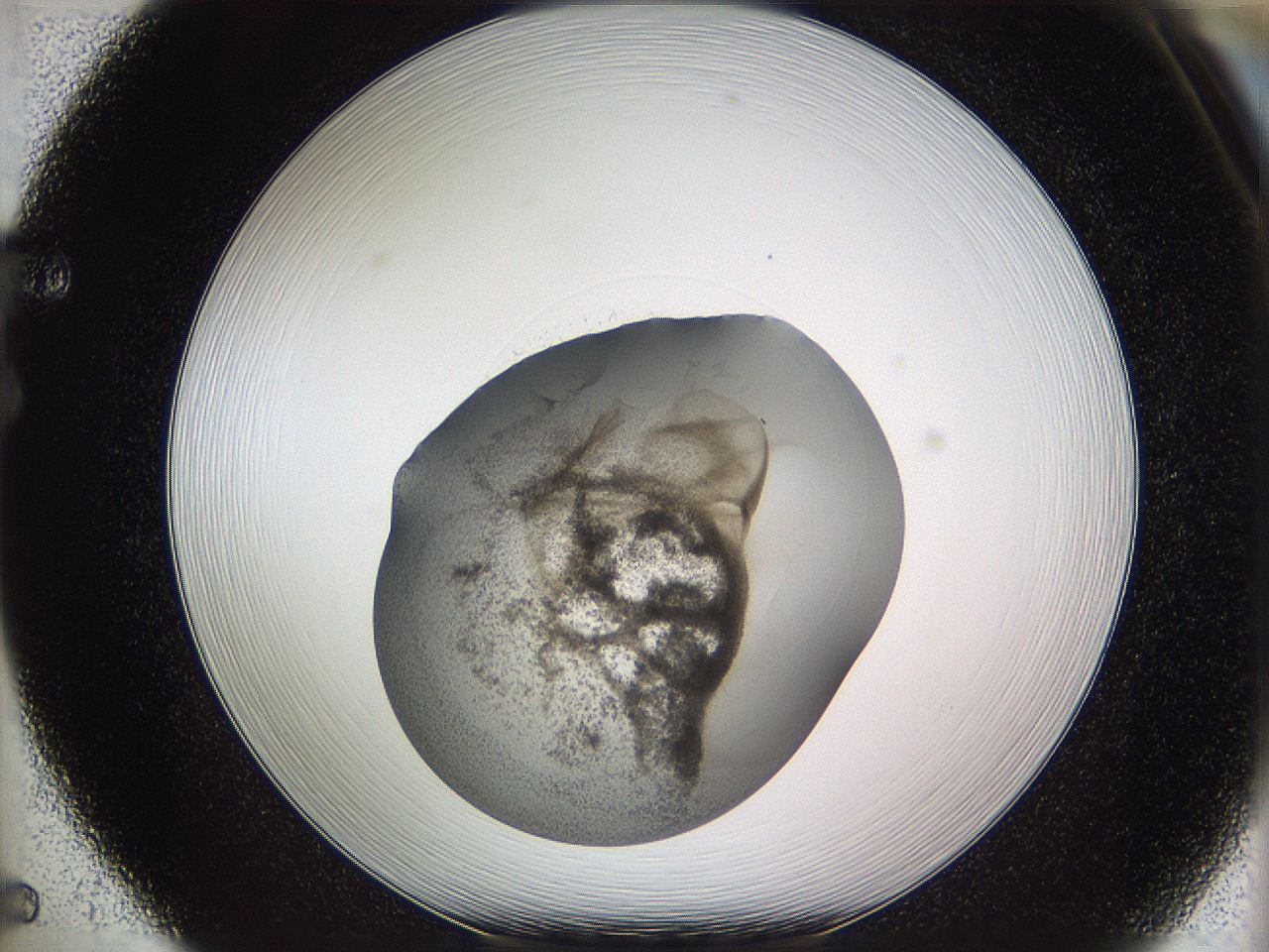 05wf_F5_ImagerDefaults_3.jpg