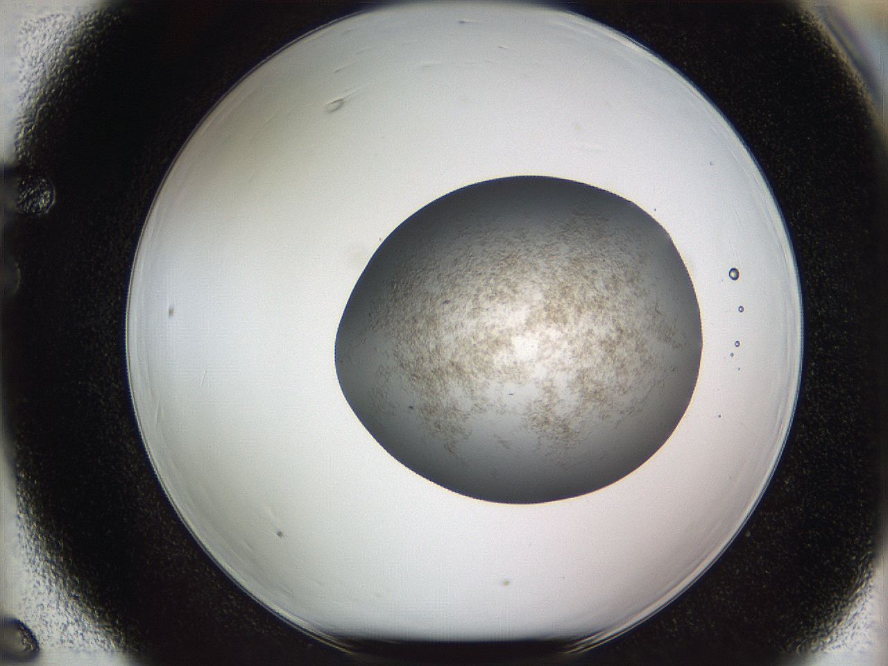 05wf_F6_ImagerDefaults_3.jpg