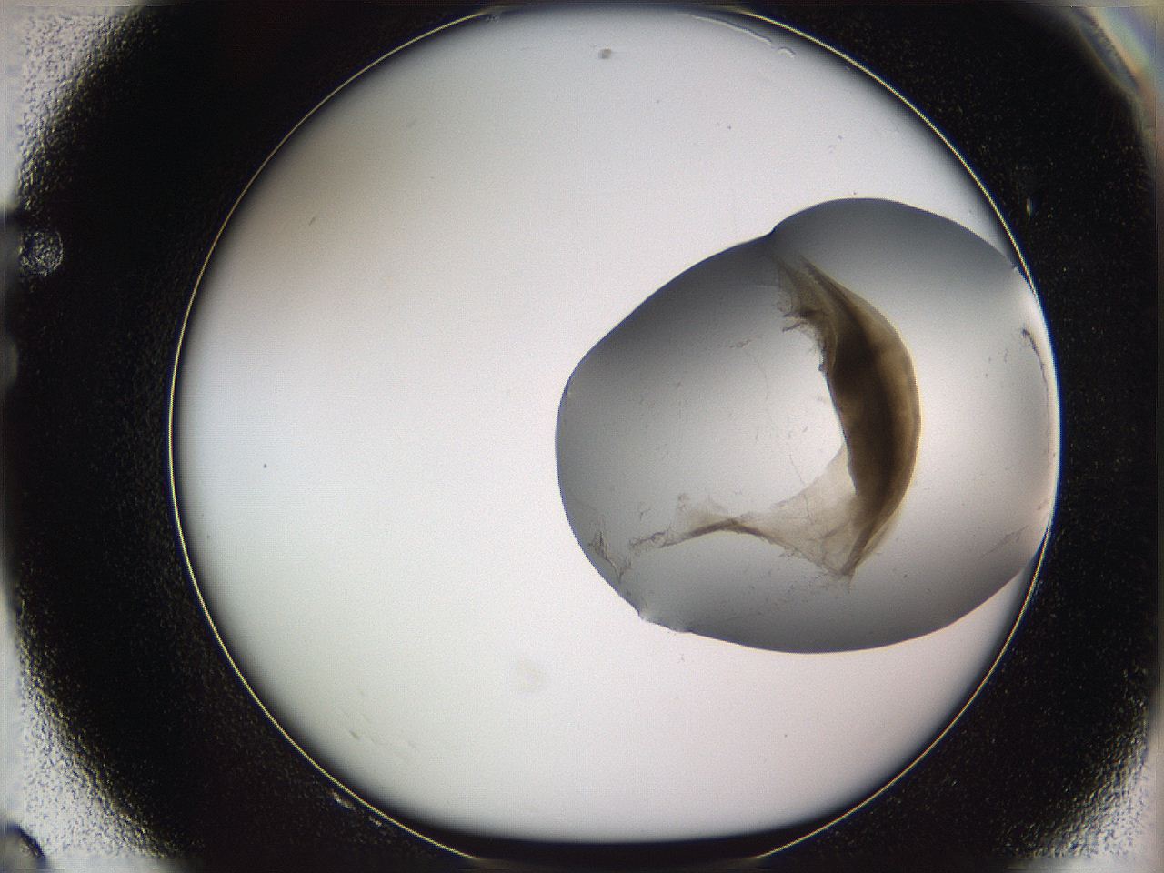 05wf_F8_ImagerDefaults_3.jpg