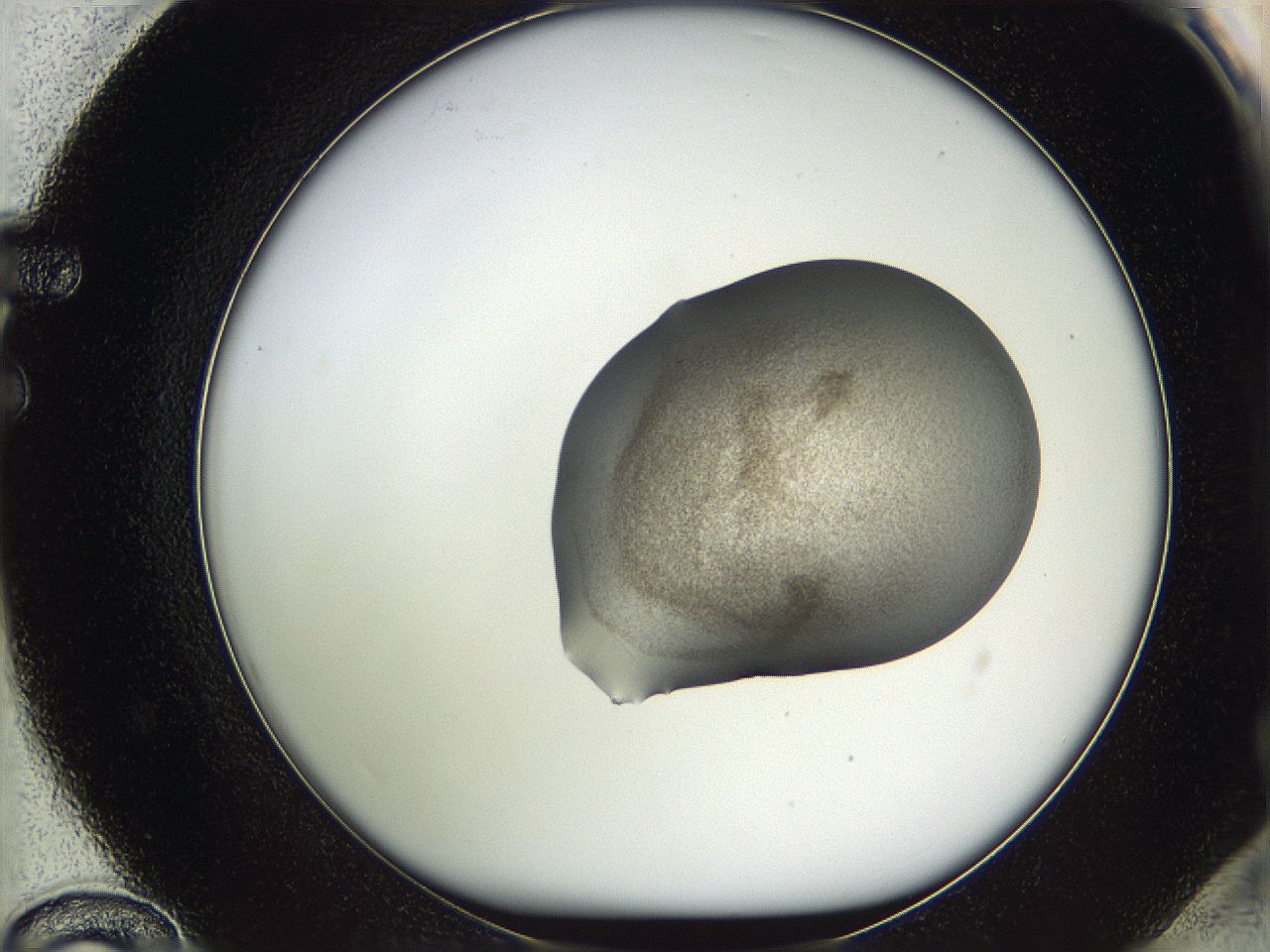 05wf_F12_ImagerDefaults_3.jpg