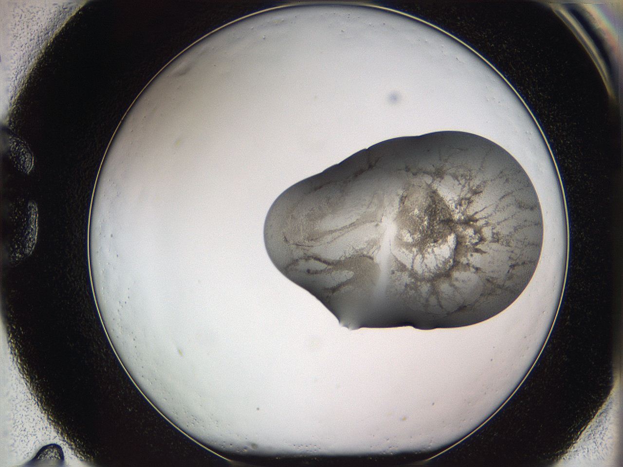 05wf_G11_ImagerDefaults_3.jpg