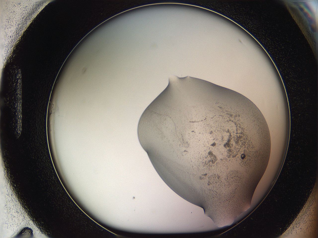 05wf_H11_ImagerDefaults_3.jpg