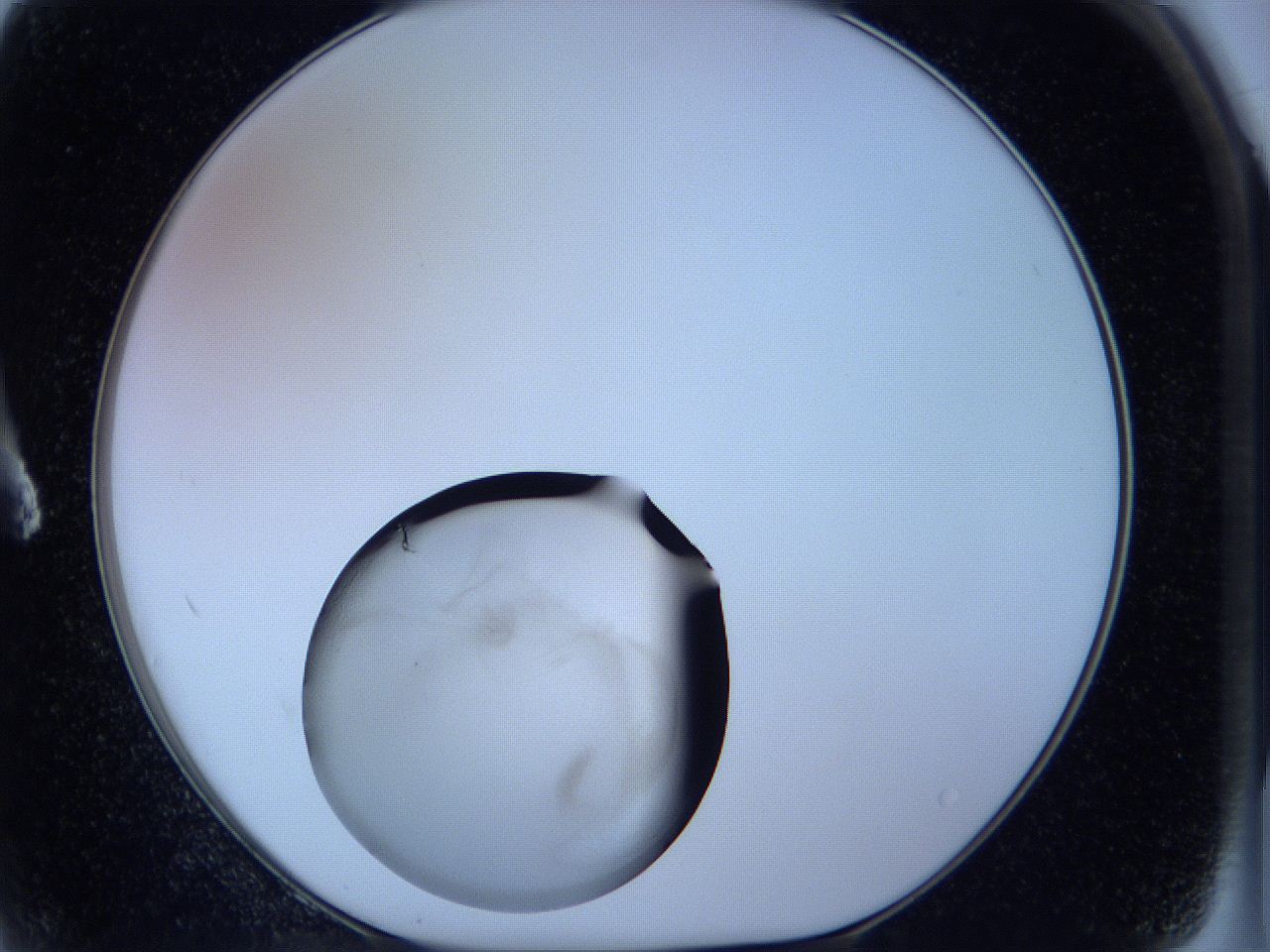 05wg_A2_ImagerDefaults_3.jpg