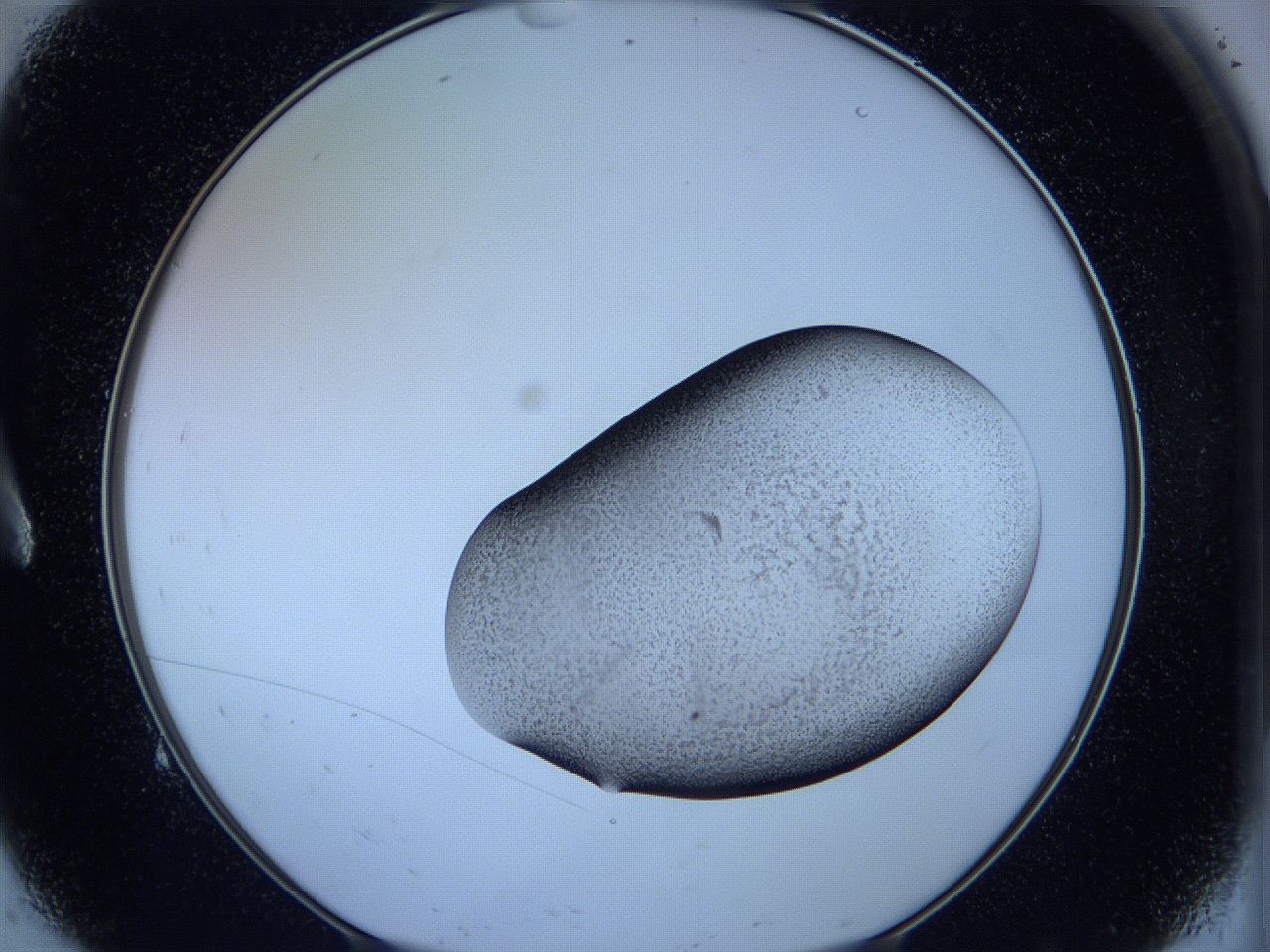 05wg_A9_ImagerDefaults_3.jpg