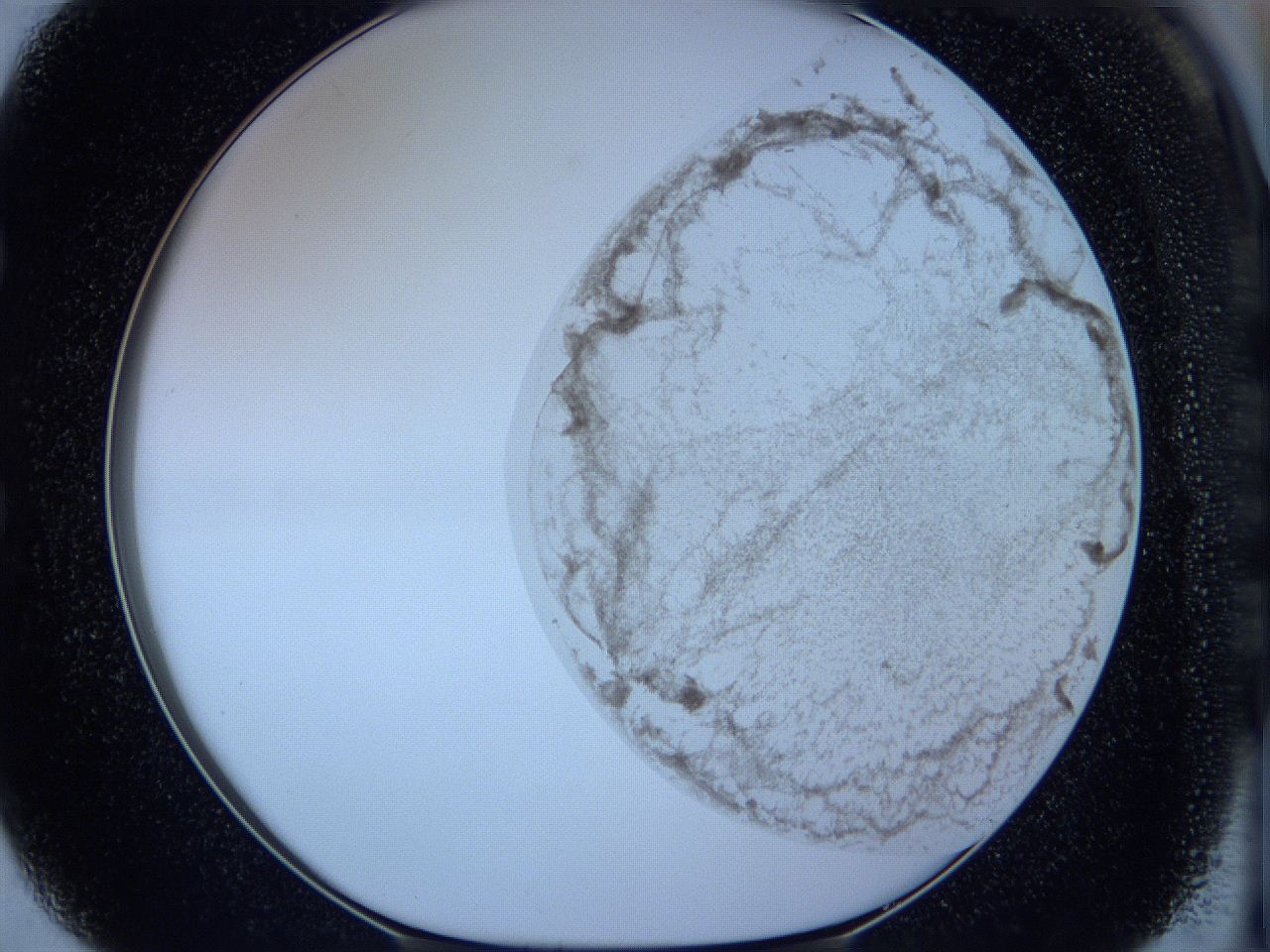 05wg_E2_ImagerDefaults_3.jpg