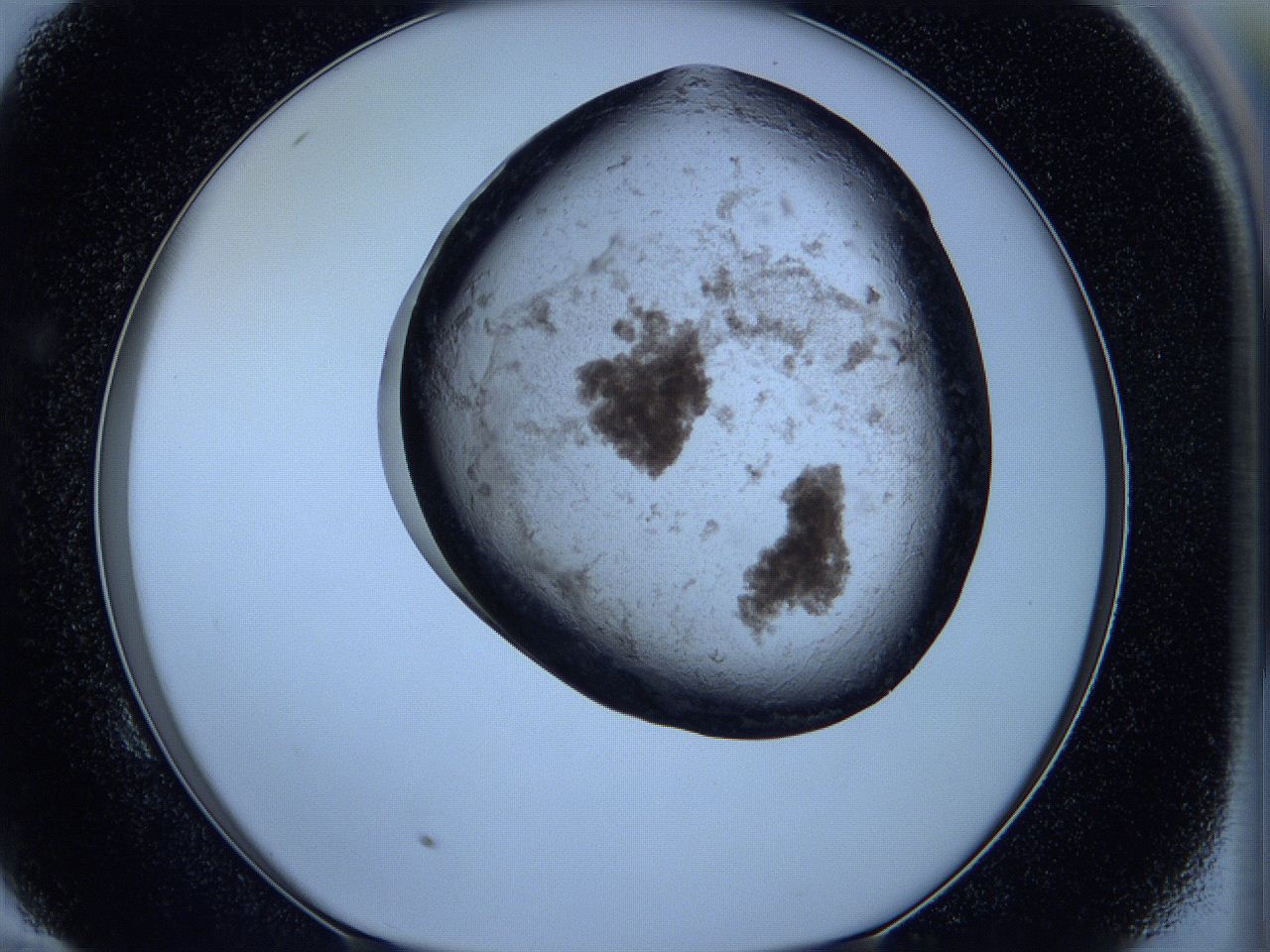 05wg_E10_ImagerDefaults_3.jpg