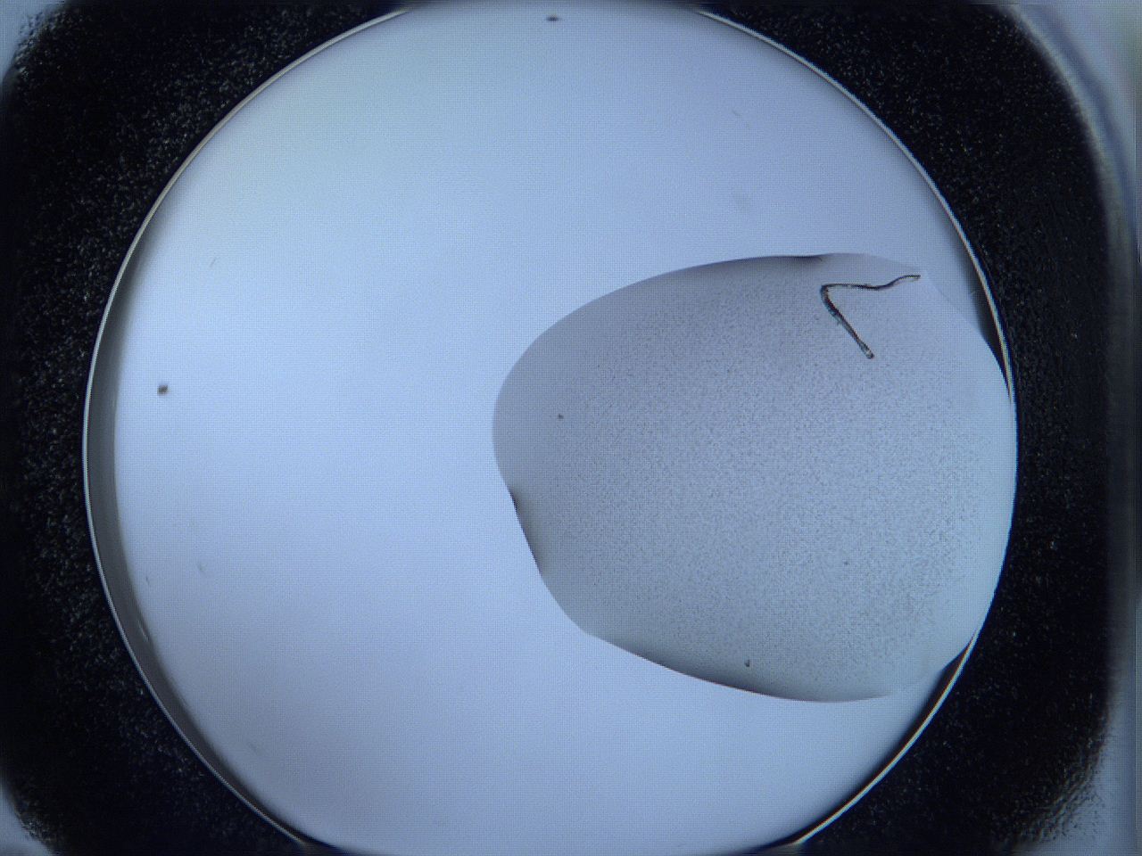 05wg_E11_ImagerDefaults_3.jpg