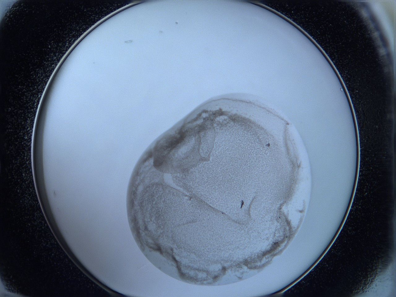 05wg_E12_ImagerDefaults_3.jpg