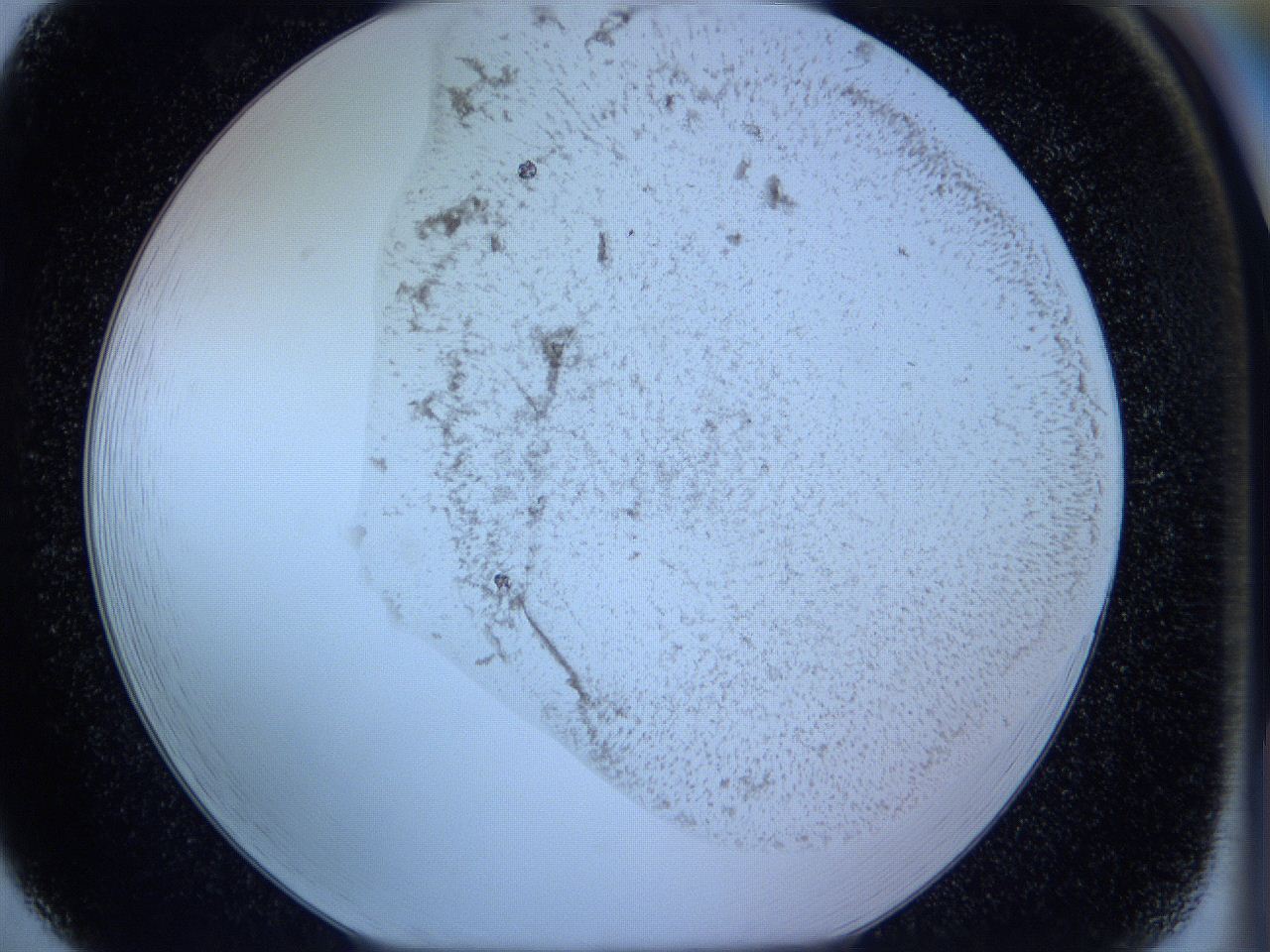 05wg_F5_ImagerDefaults_3.jpg