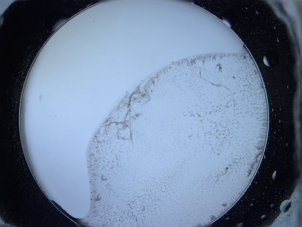 05wg_G12_ImagerDefaults_3.jpg
