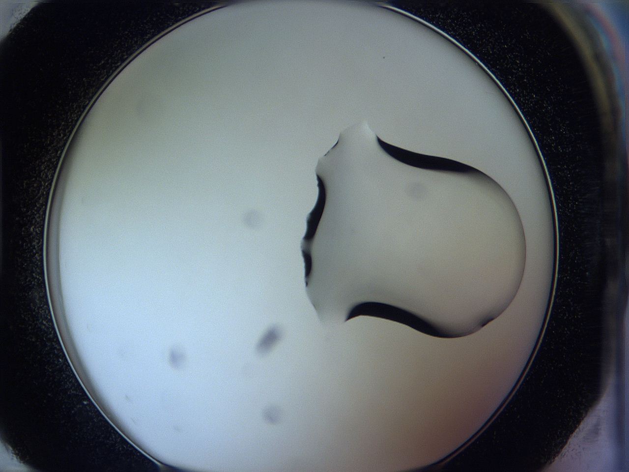 05wg_H12_ImagerDefaults_1.jpg