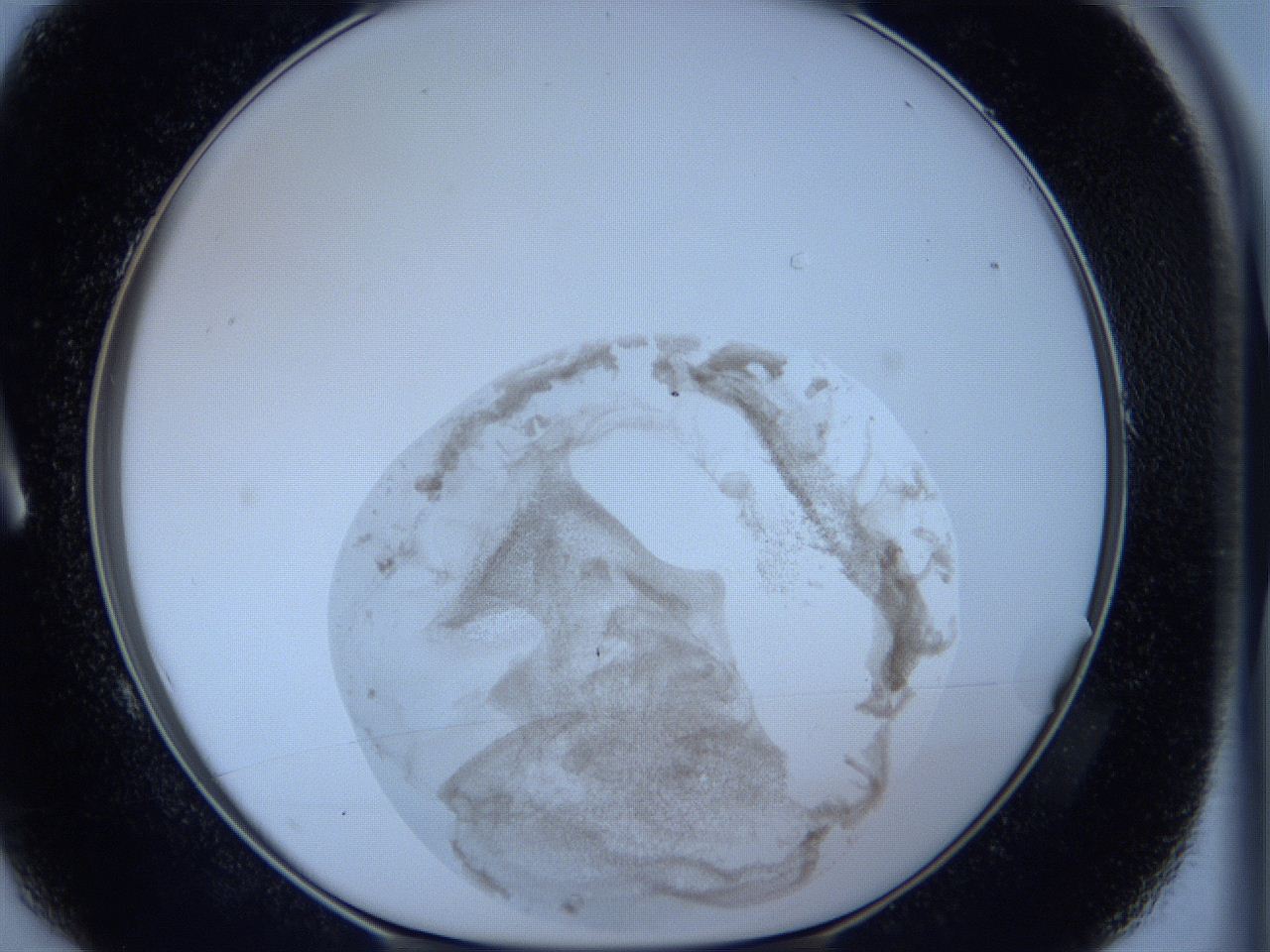 05wh_A1_ImagerDefaults_3.jpg