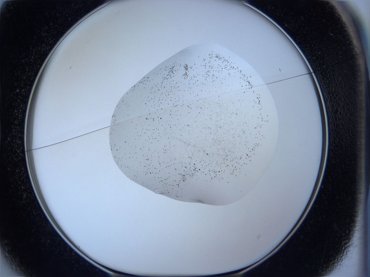 05wh_B1_ImagerDefaults_5.jpg