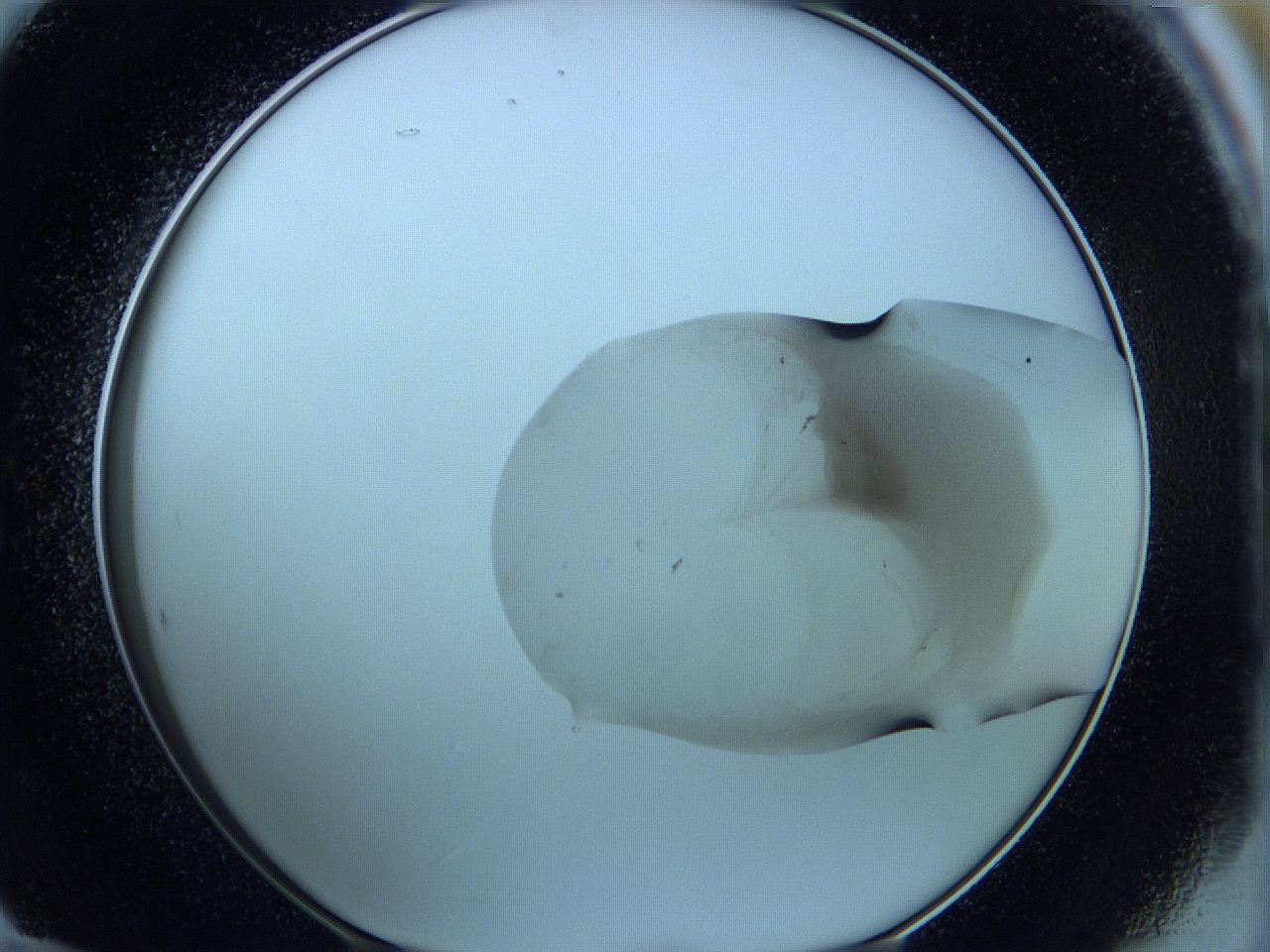 05wh_E12_ImagerDefaults_3.jpg