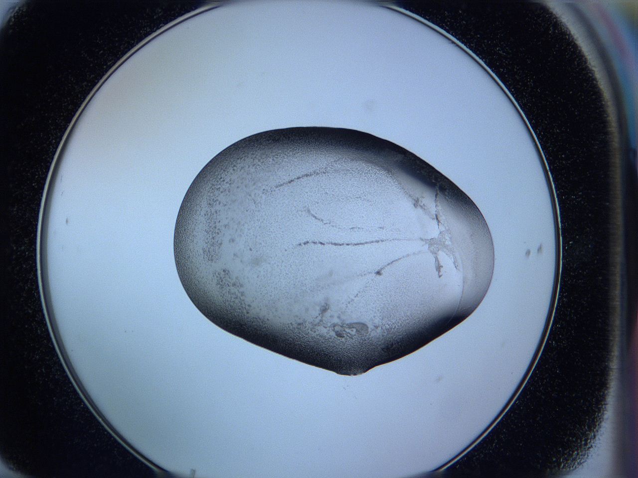 05wh_F10_ImagerDefaults_3.jpg