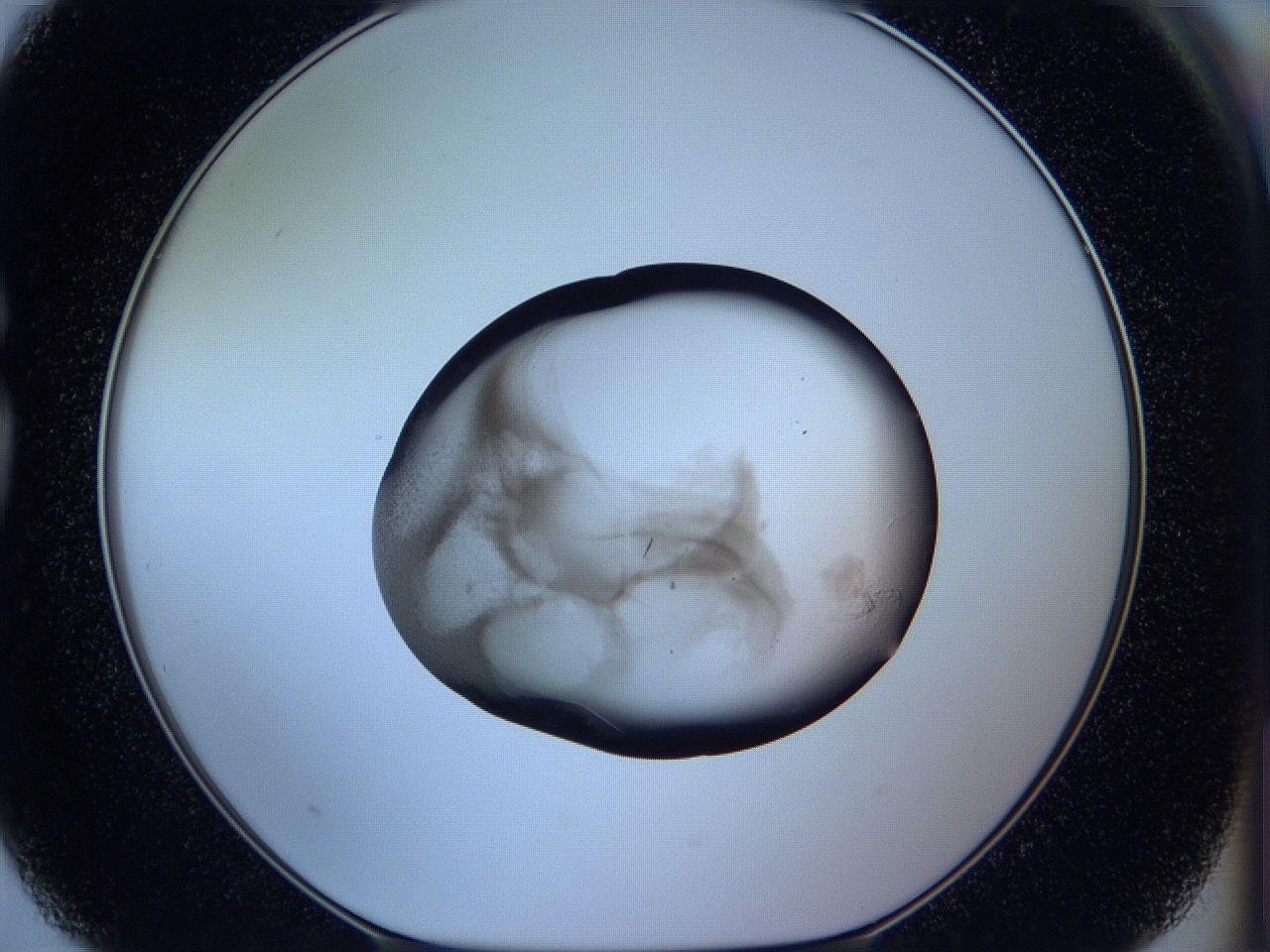 05wh_G3_ImagerDefaults_3.jpg