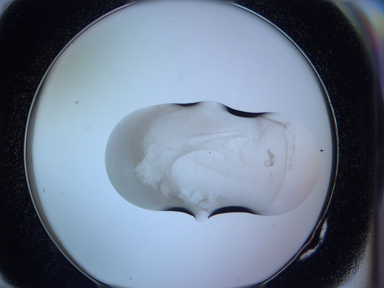 05wh_G10_ImagerDefaults_3.jpg