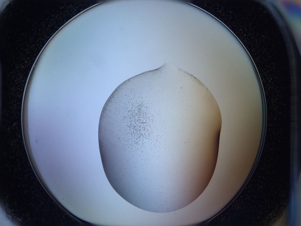 05wh_H5_ImagerDefaults_3.jpg