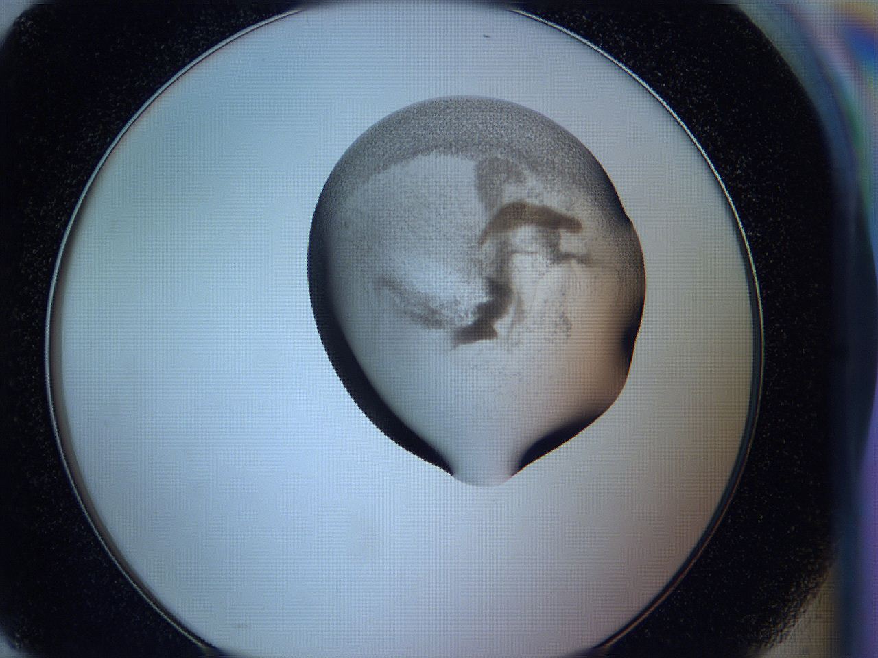 05wh_H10_ImagerDefaults_3.jpg