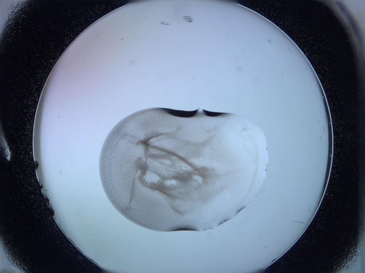 05wi_A11_ImagerDefaults_3.jpg