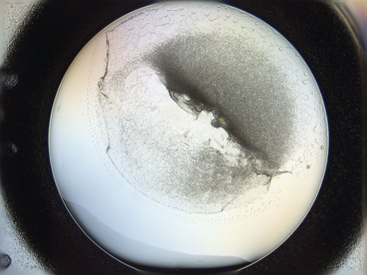 05wo_E5_ImagerDefaults_5.jpg