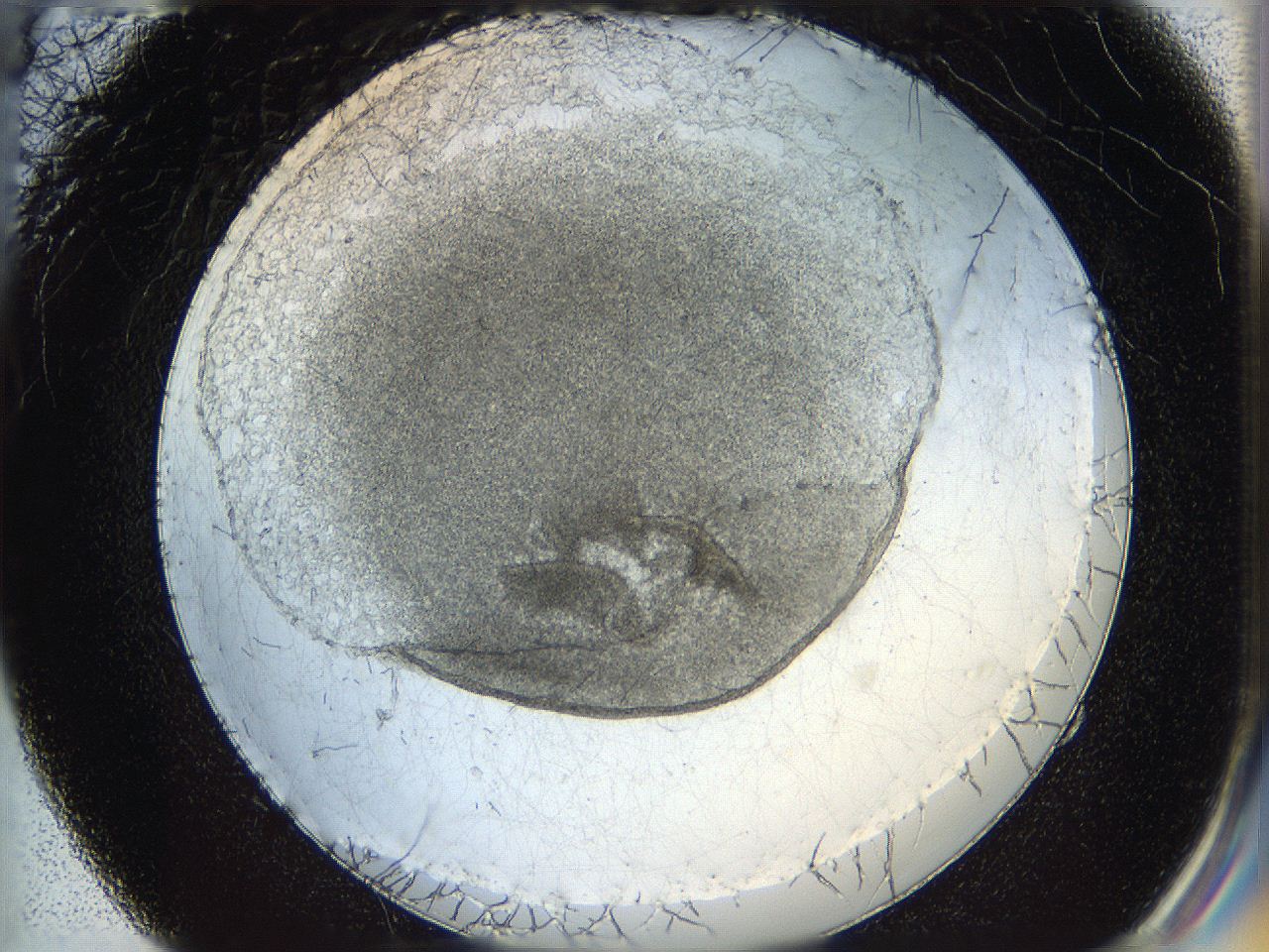 05wo_E4_ImagerDefaults_7.jpg