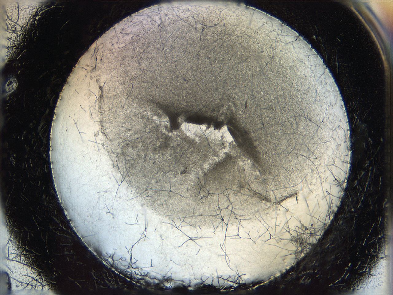 05wo_E4_ImagerDefaults_5.jpg