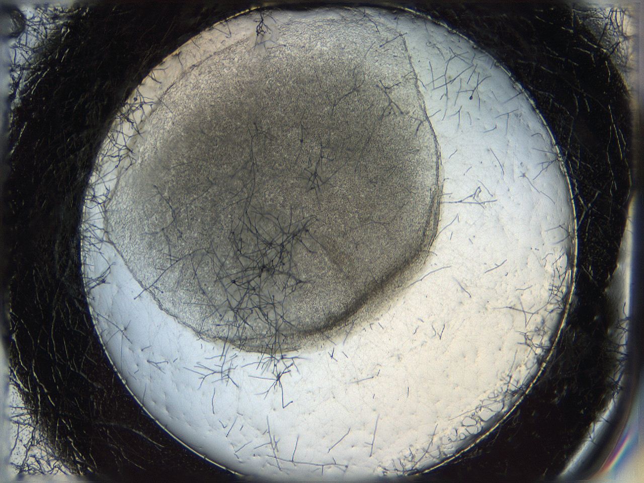 05wo_E2_ImagerDefaults_7.jpg