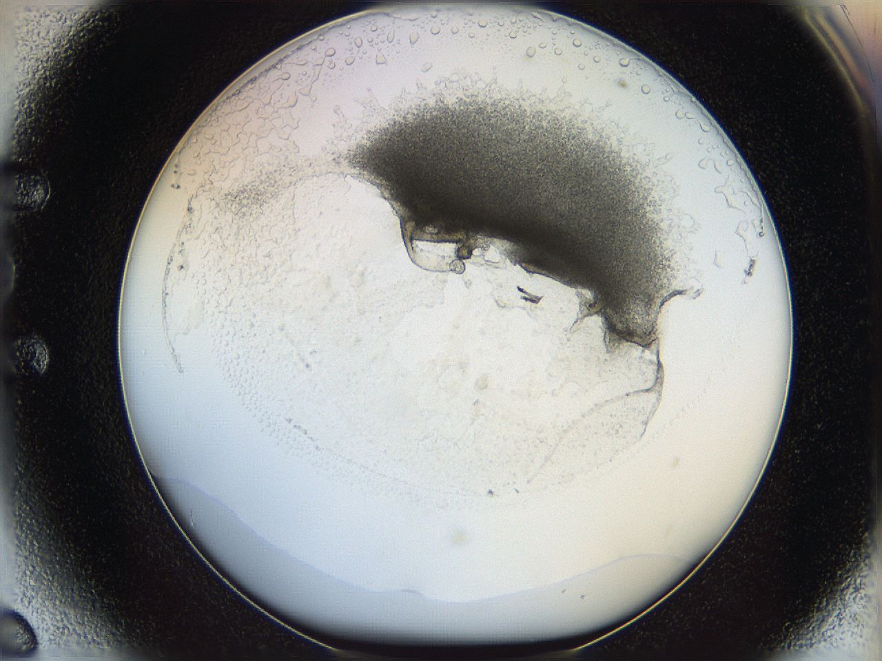 05wo_E6_ImagerDefaults_5.jpg