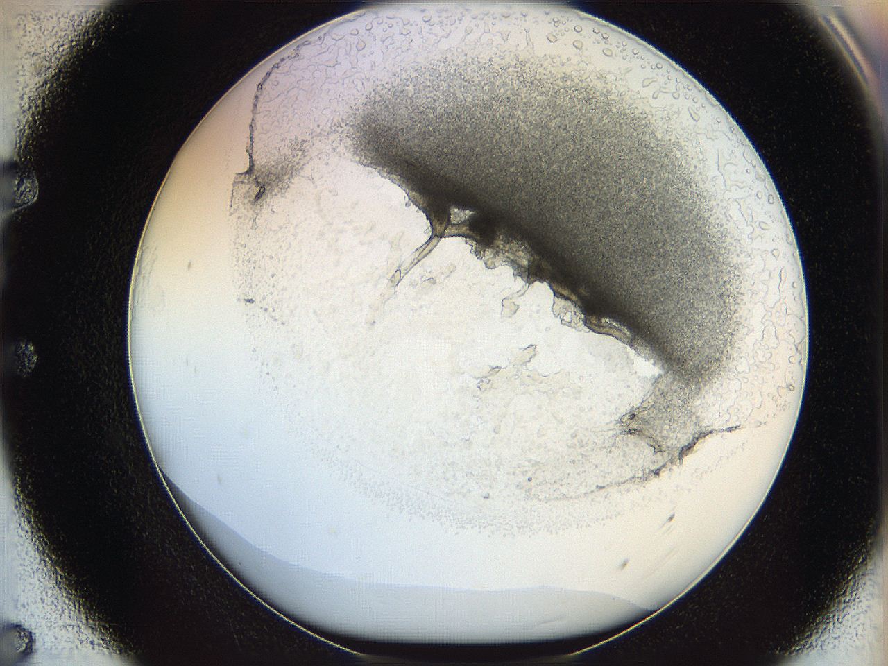 05wo_E7_ImagerDefaults_5.jpg