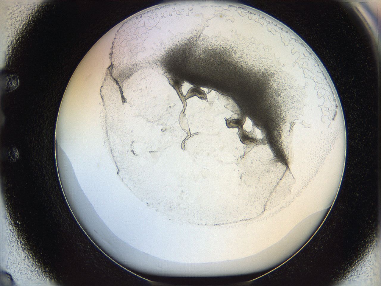 05wo_E8_ImagerDefaults_5.jpg