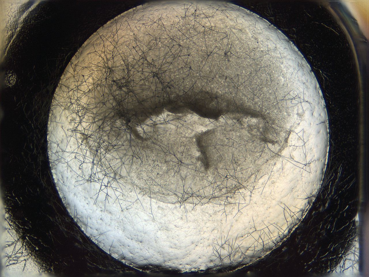 05wo_F1_ImagerDefaults_5.jpg