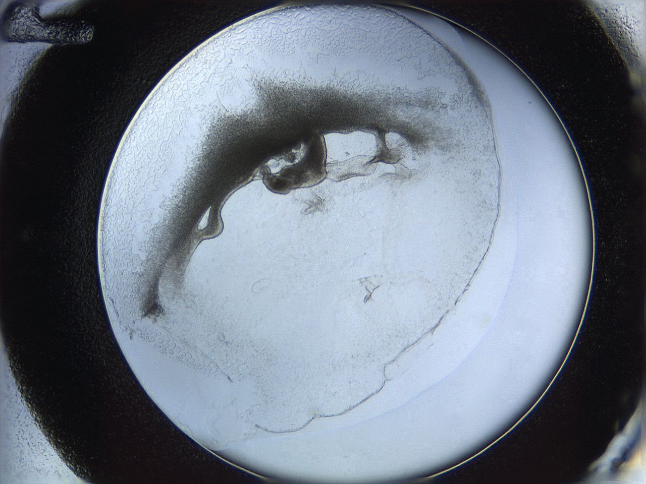 05wo_E12_ImagerDefaults_5.jpg