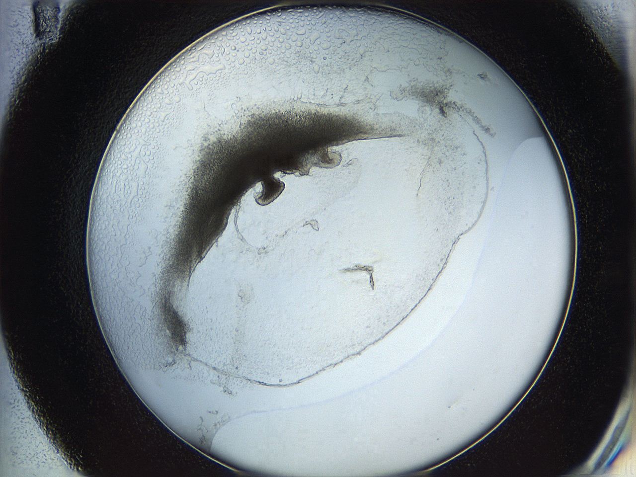 05wo_E11_ImagerDefaults_5.jpg