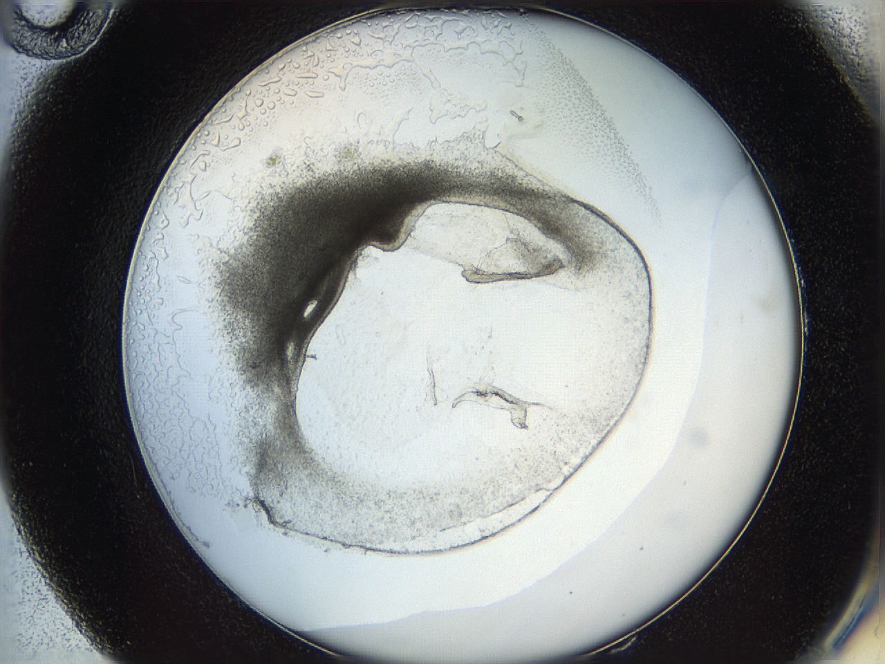 05wo_E10_ImagerDefaults_5.jpg