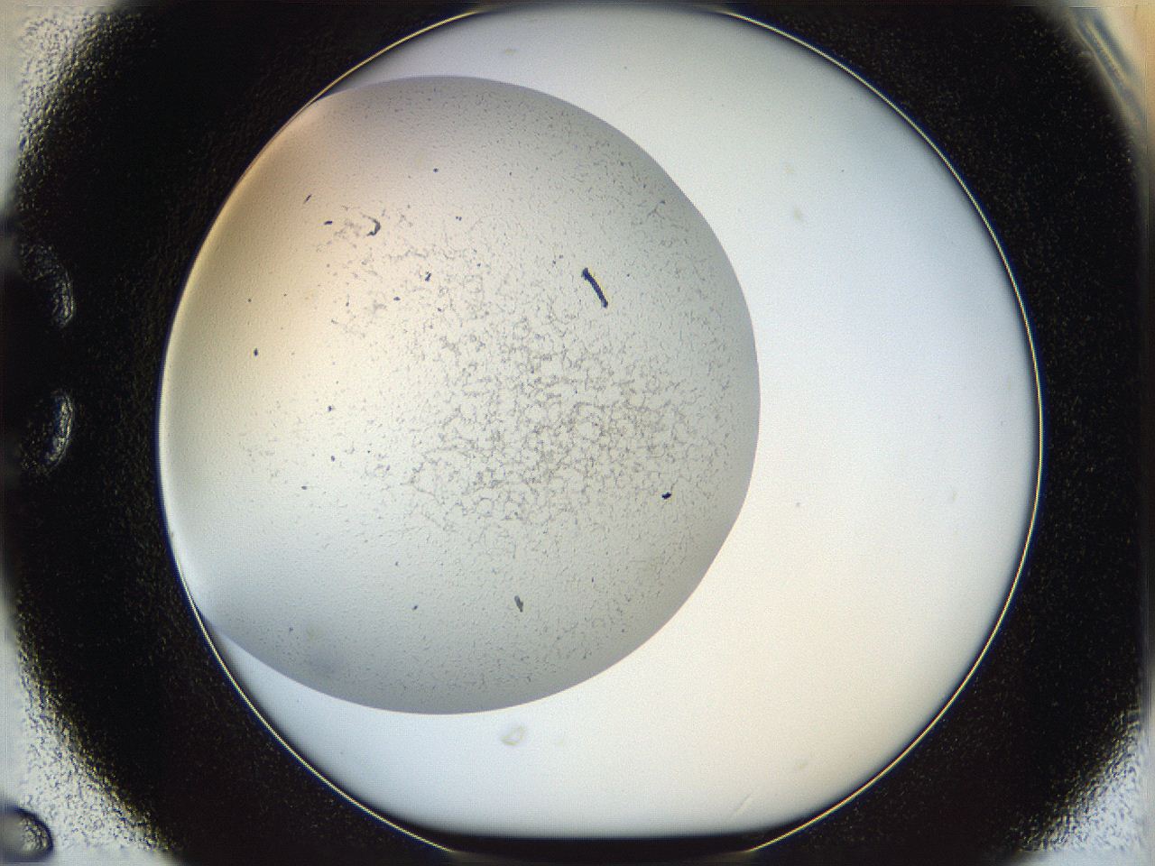 05wo_C6_ImagerDefaults_6.jpg
