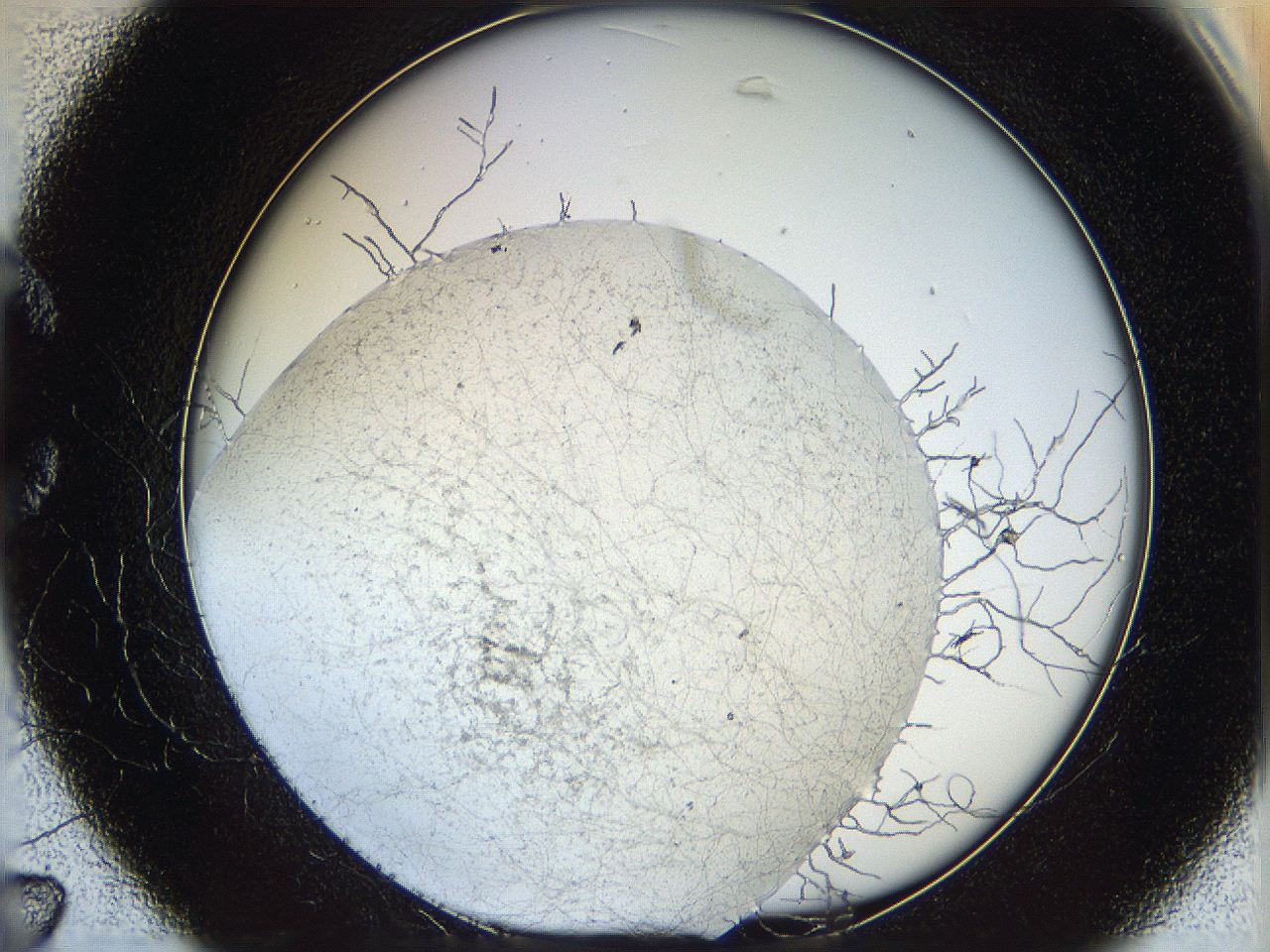 05wo_C7_ImagerDefaults_6.jpg