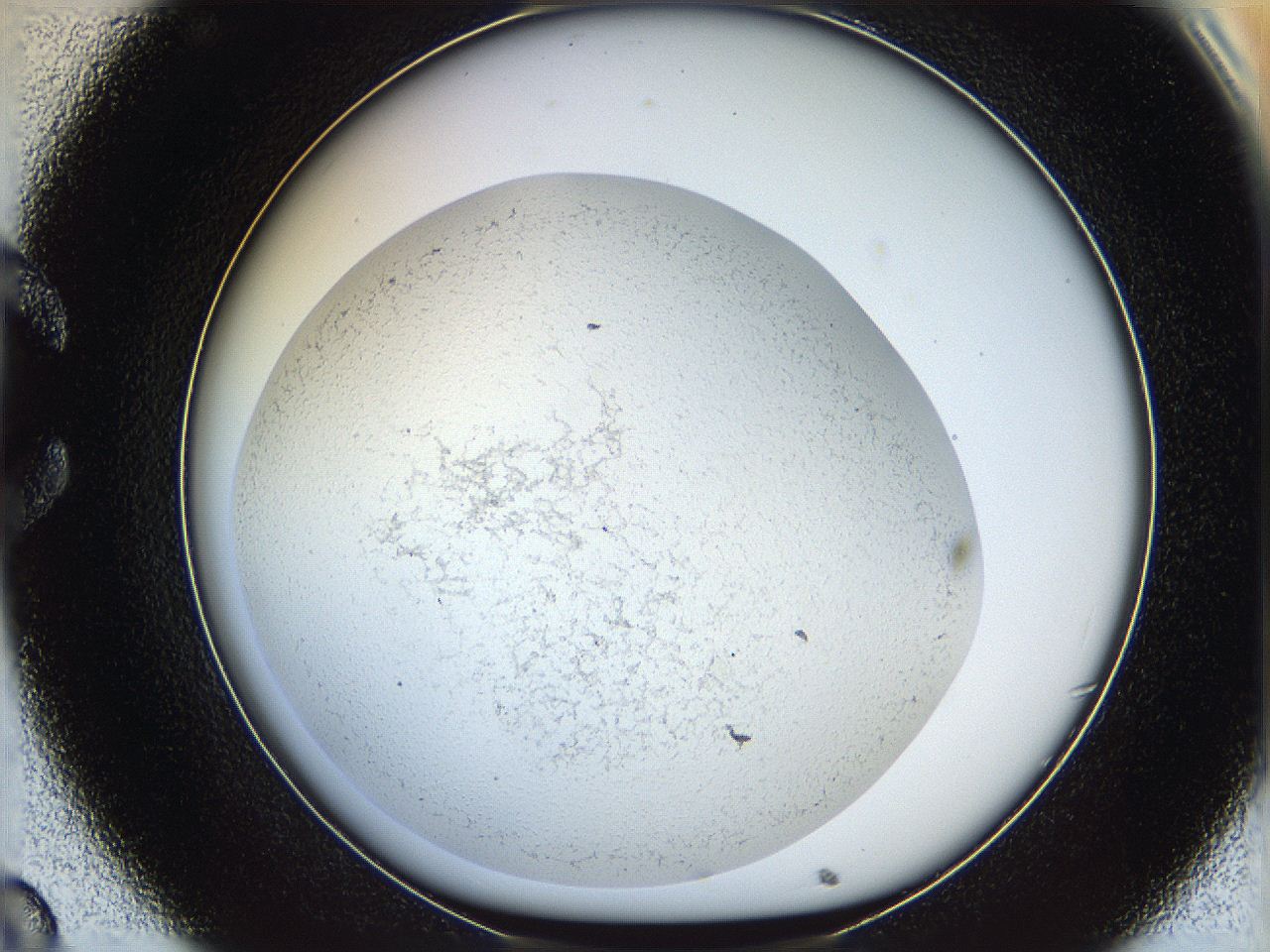 05wo_C8_ImagerDefaults_6.jpg