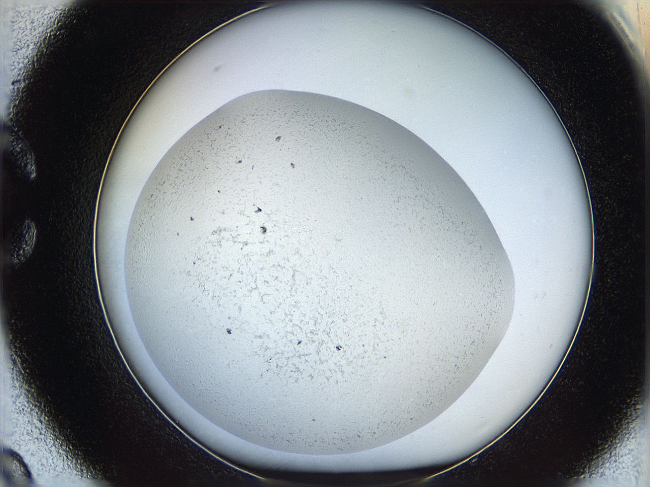 05wo_C9_ImagerDefaults_6.jpg