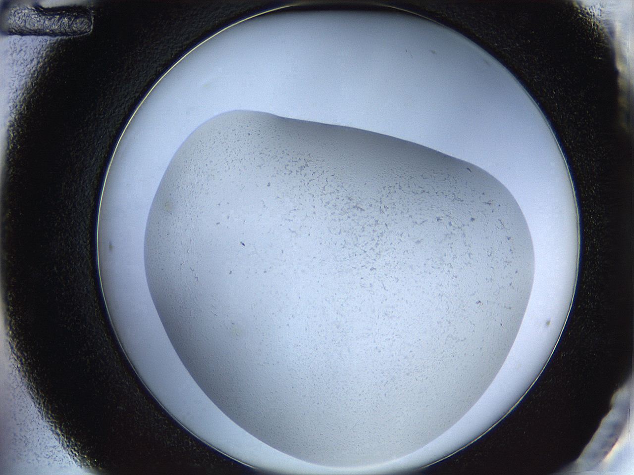 05wo_C12_ImagerDefaults_6.jpg