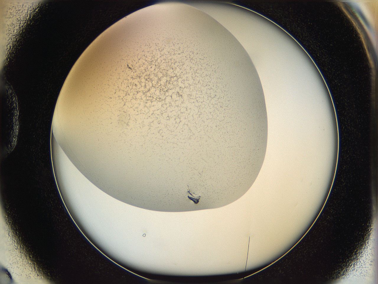 05wo_D2_ImagerDefaults_4.jpg