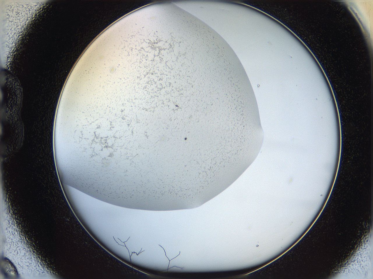 05wo_B9_ImagerDefaults_6.jpg