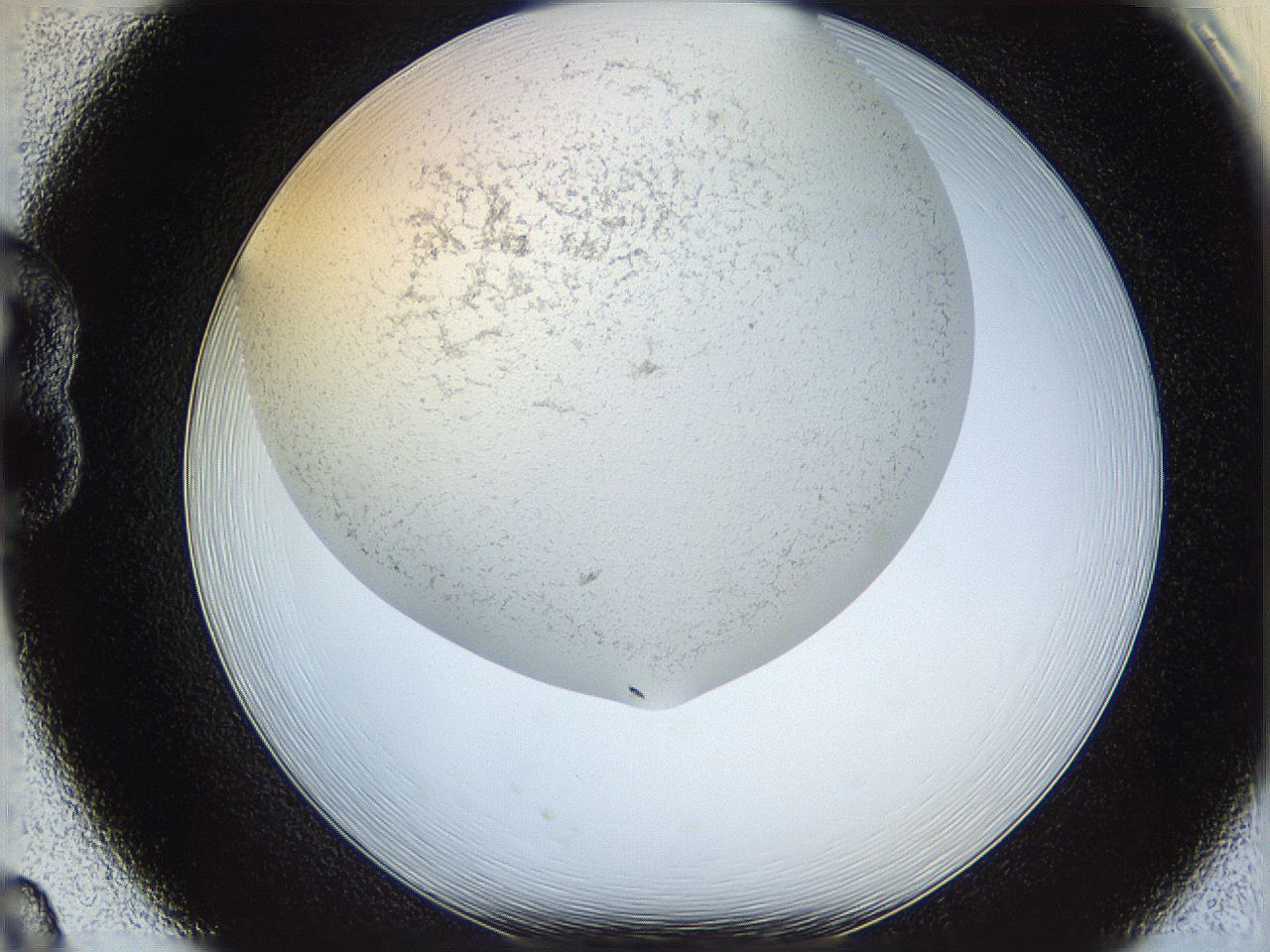 05wo_B8_ImagerDefaults_6.jpg
