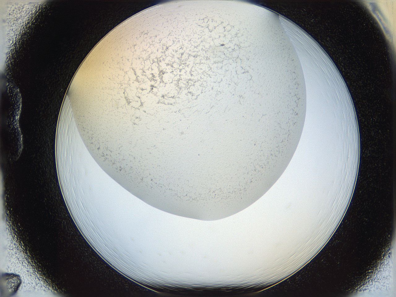 05wo_B7_ImagerDefaults_6.jpg