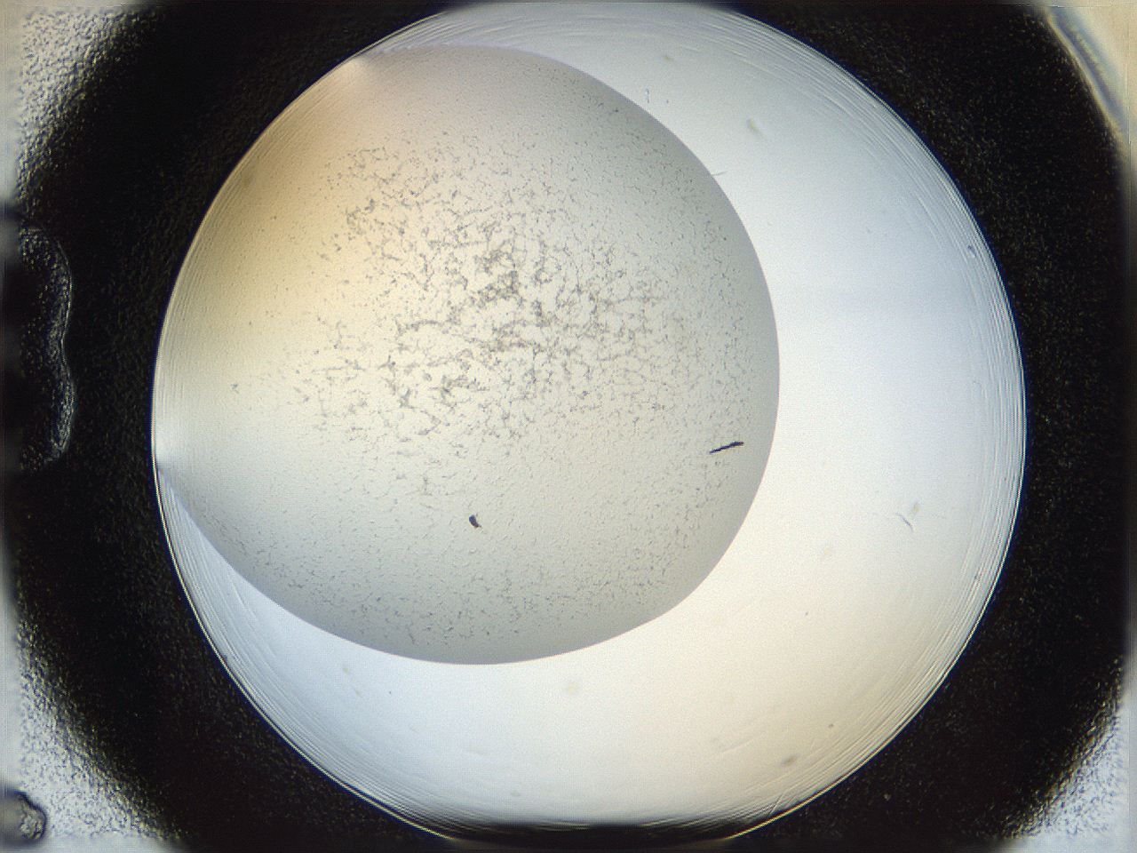 05wo_B6_ImagerDefaults_6.jpg