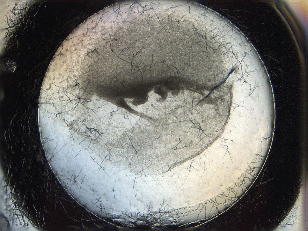 05wo_F2_ImagerDefaults_5.jpg